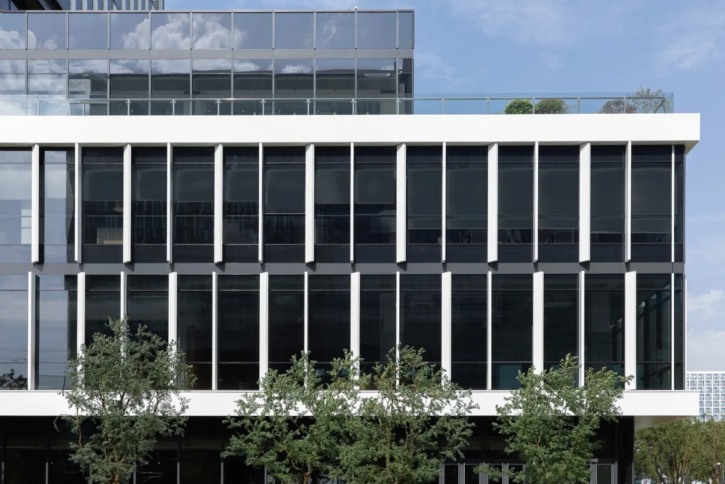 通透建筑里的明亮公共配套 · 实景照片 · 空间细节