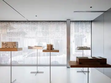 旧楼里延伸的天光与小院 · 实景照片
