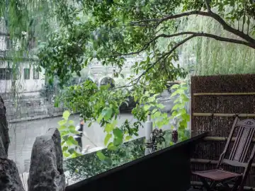 沿着木阶走向树影 · 实景照片