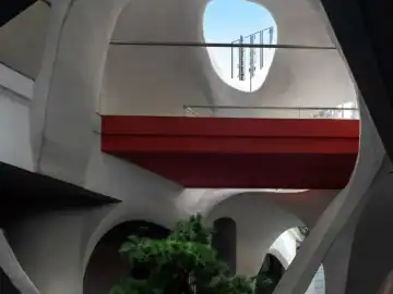 曲面中庭里的树与天光 · 实景照片