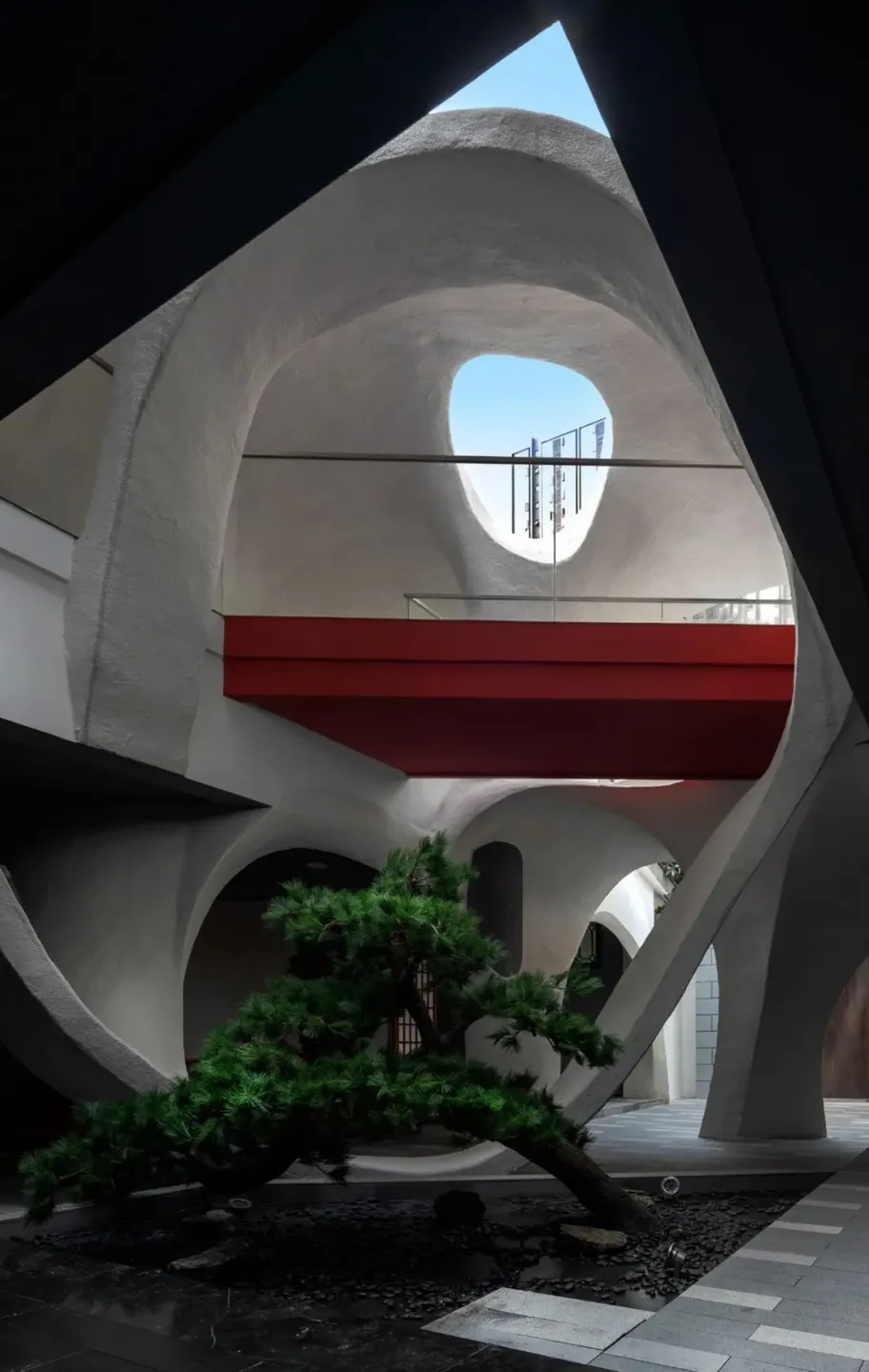 曲面中庭里的树与天光 · 实景照片 · 空间细节