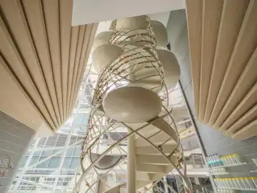 自然形态变成甜品空间 · 实景照片