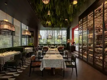 浓绿与珊瑚红的双重餐叙 · 实景照片