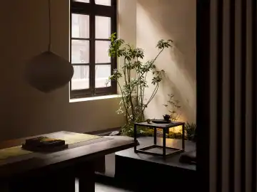 老屋游廊中的茶与展陈 · 实景照片