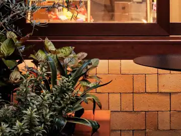 小屋组团里的宠物休闲街区 · 实景照片