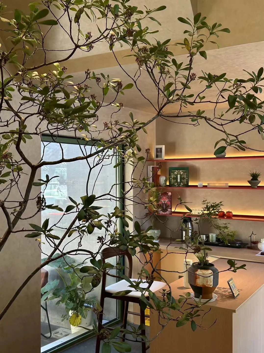 红色窗边的一处小院 · 实景照片 · 空间细节