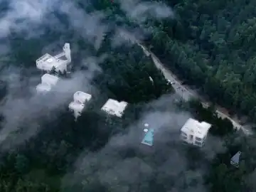 穿过几何洞口看森林 · 实景照片
