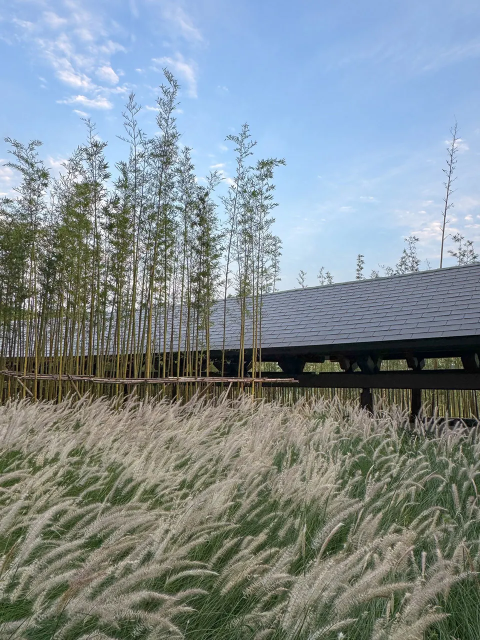 起伏屋面连接自然景观 · 实景照片 · 空间细节