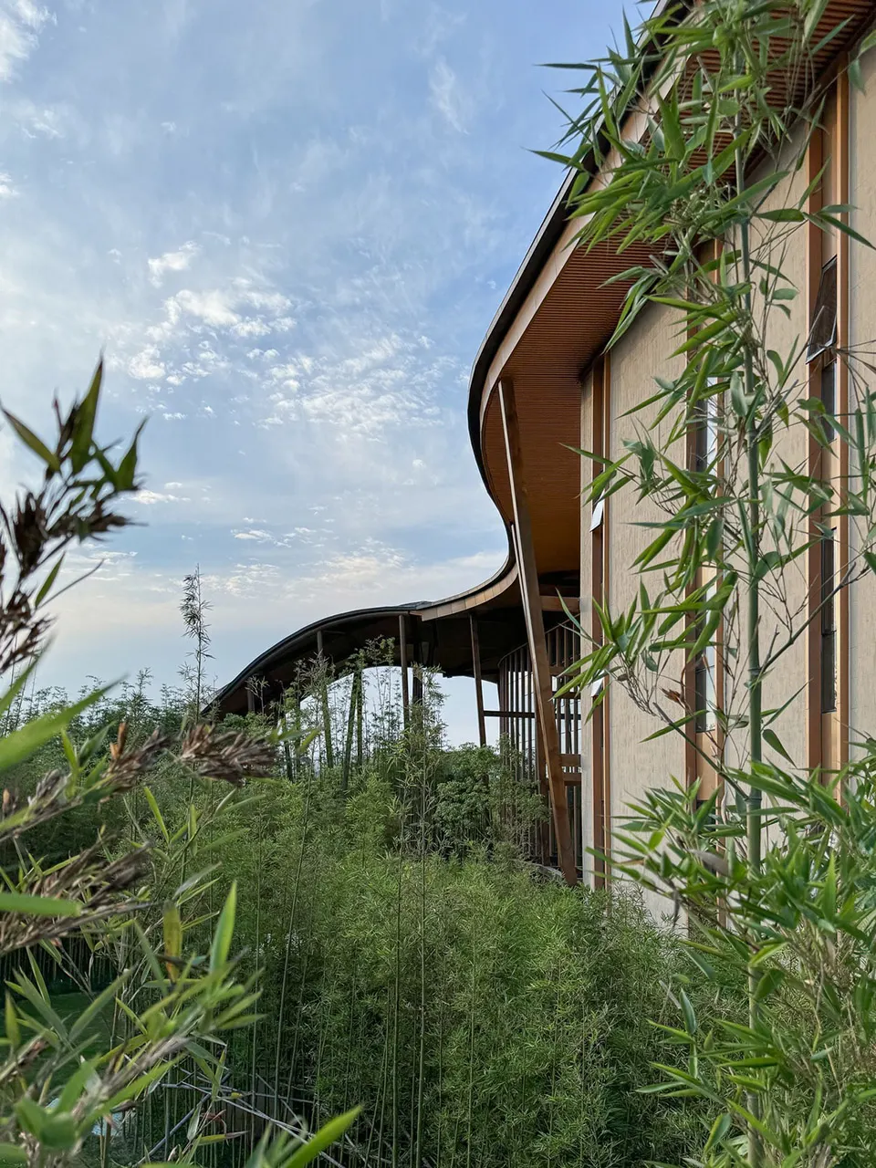 起伏屋面连接自然景观 · 实景照片 · 空间细节