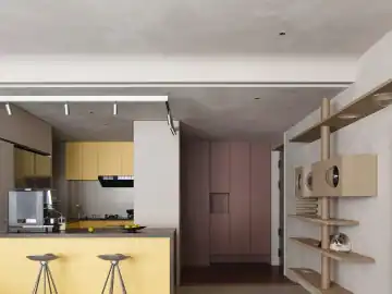 蓝黄和鸣 · 实景照片